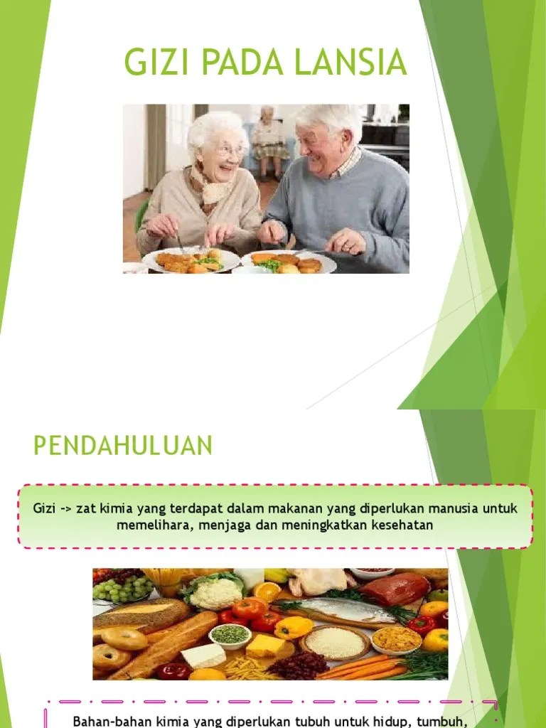 Gizi Lansia | PDF