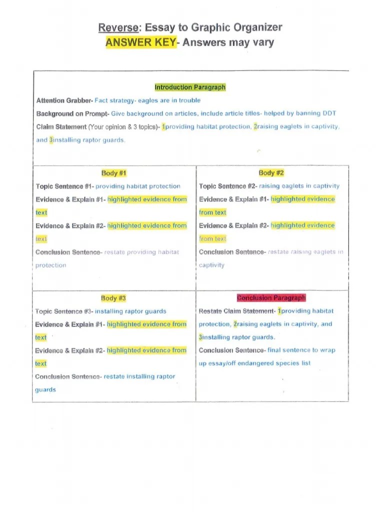 Essay To Graphic Organizer Answer Key | PDF