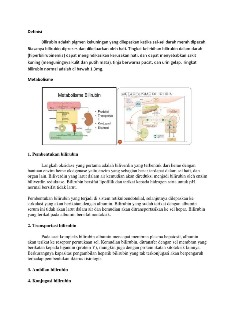 Urinalisa Meysi | PDF