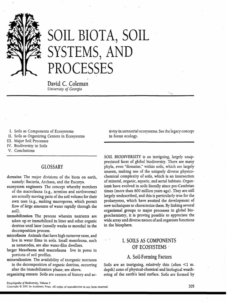 Soil Biota PDF Ecosystem Soil