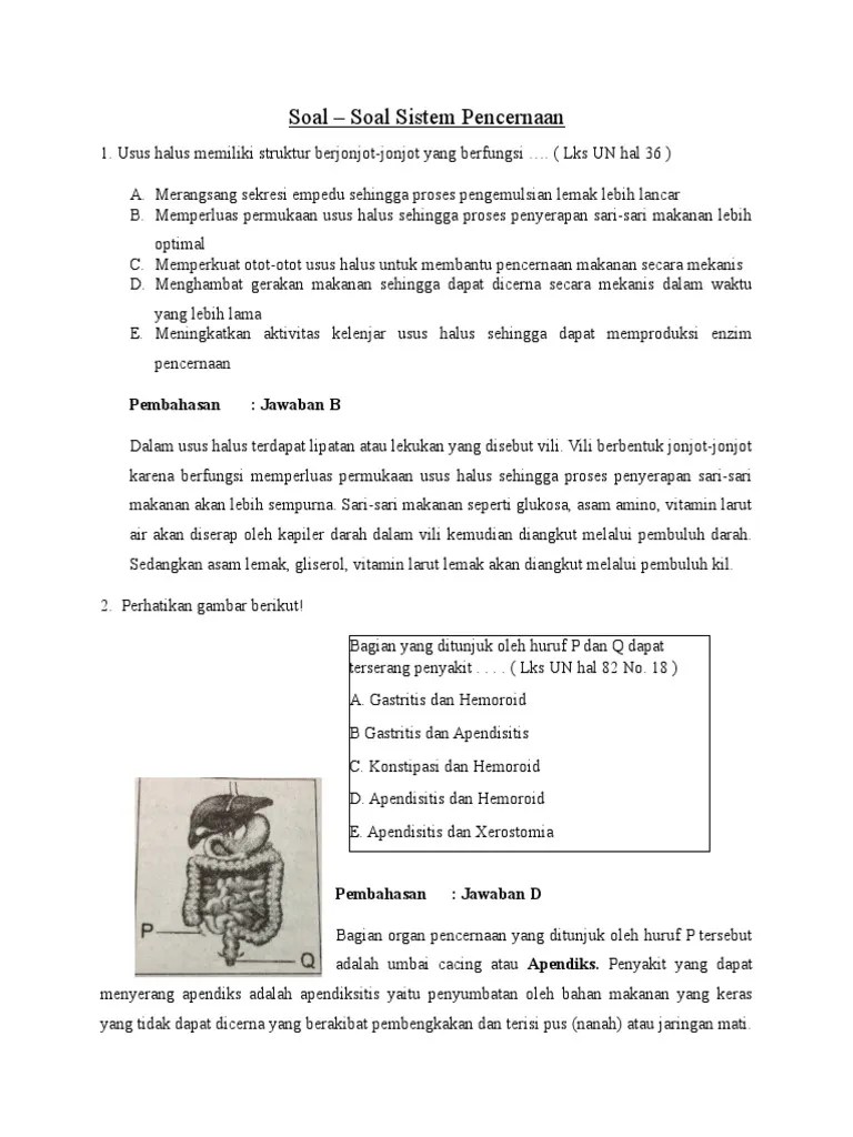 Soal Sistem Pencernaan | PDF