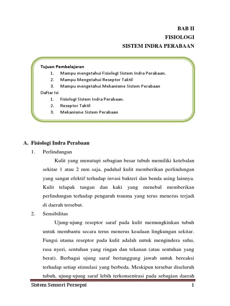 Fisiologi Indra Perabaan | PDF
