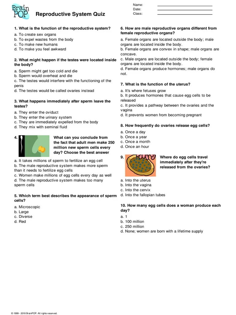 Reproductive System Quiz PDF Reproductive System Ovary