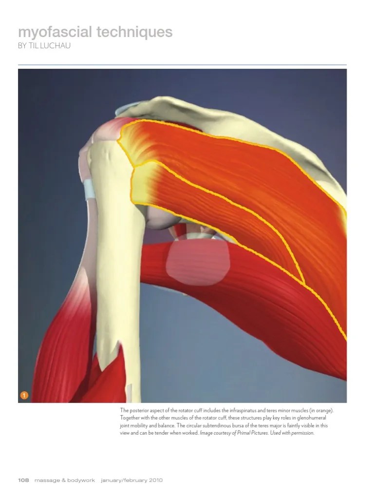 The Rotator Cuff Frozen Shoulder, Part II (Myofascial Techniques