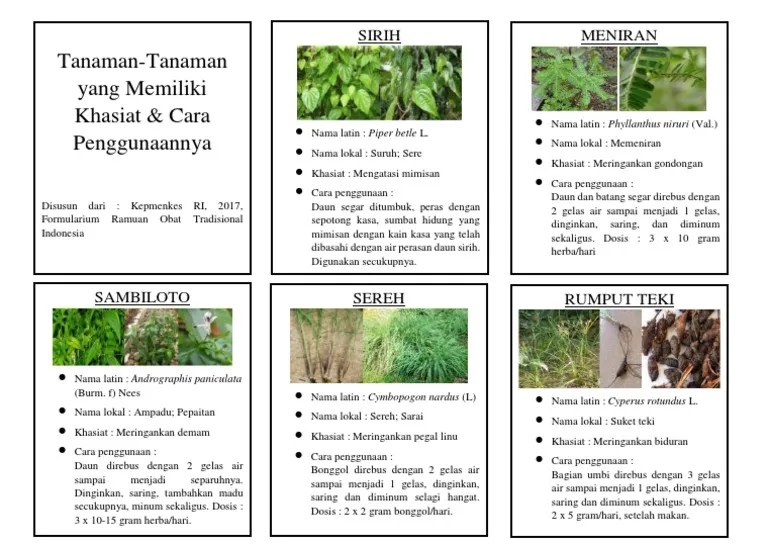 Leaflet Informasi Obat Tanaman Herbal | PDF
