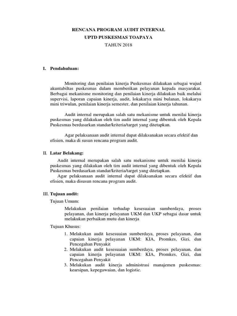 Contoh Laporan Audit Internal Puskesmas Pdf Audit Kinerja