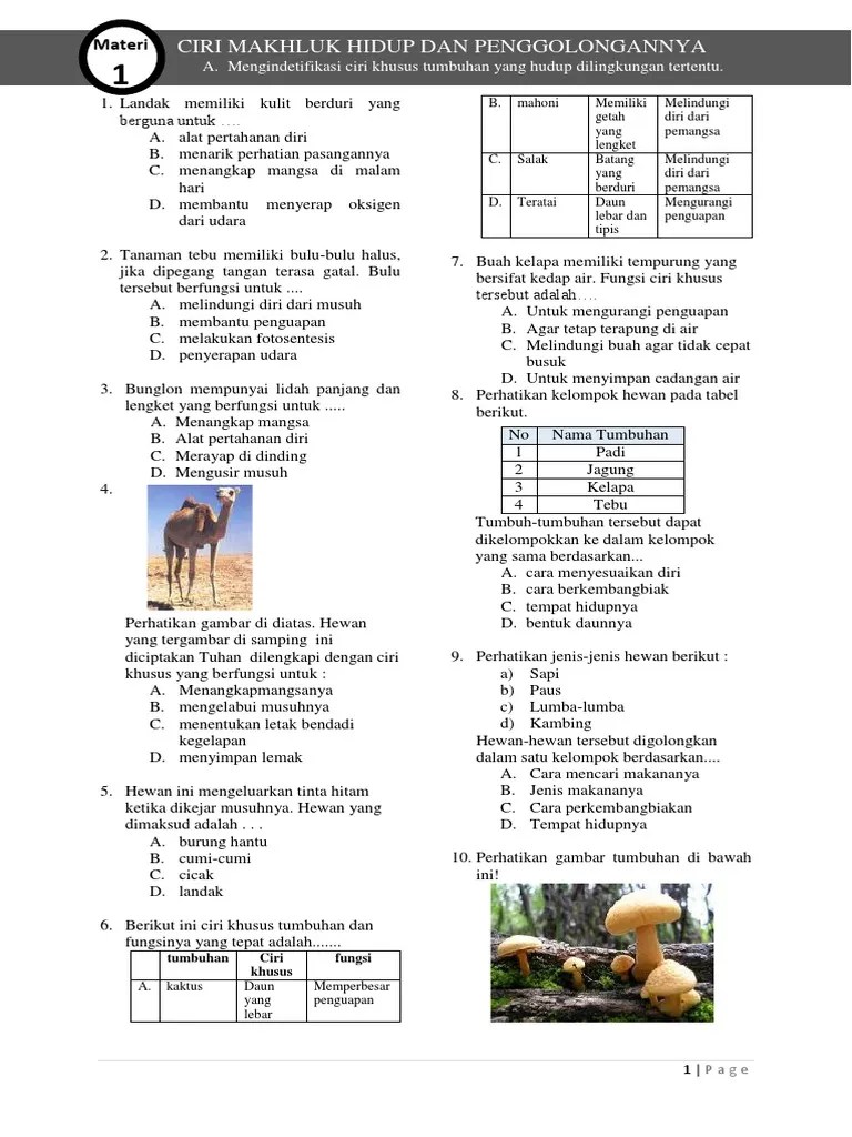Berikut Tumbuhan Langka Yang Hampir Punah Di Indonesia Adalah A Jati B  Mahoni C Cendana D Pinus