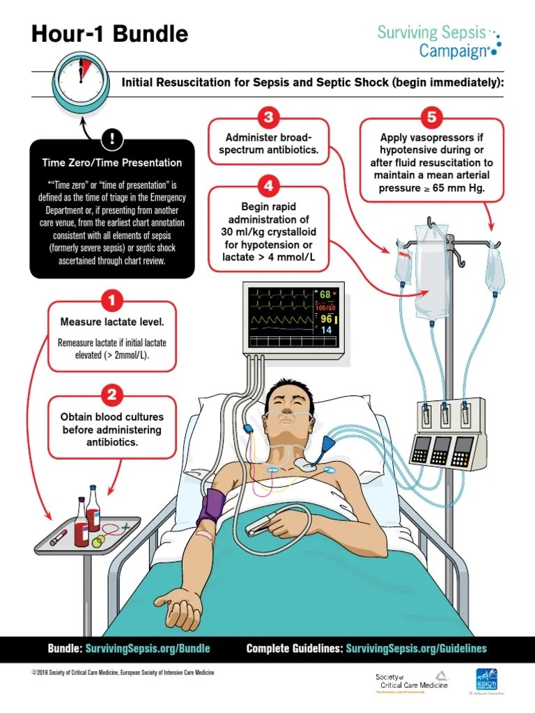 Surviving Sepsis Hour 1 Bundle Infograph PDF Sepsis Shock
