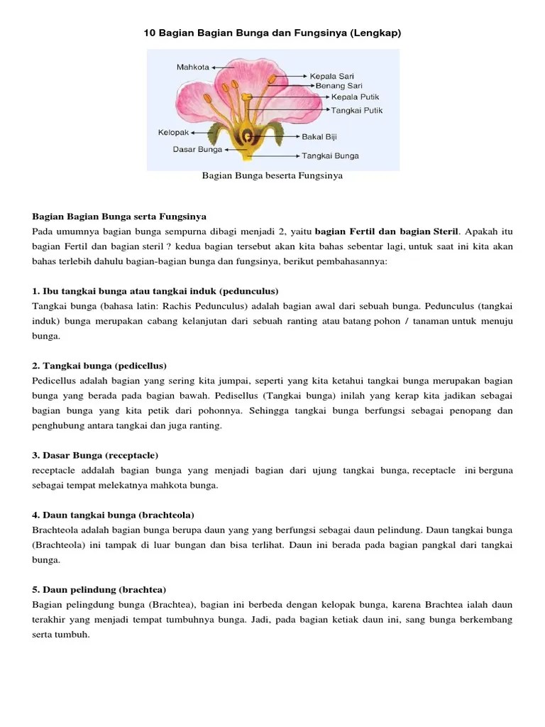 Terkeren 27+ Gambar Bunga Sempurna Beserta Bagian Dan Fungsinya - Koleksi  Bunga HD