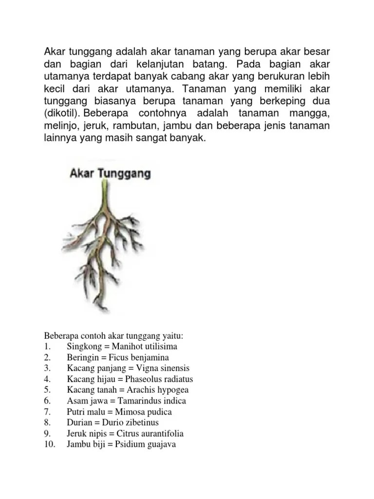 Blangko Penilaian | PDF