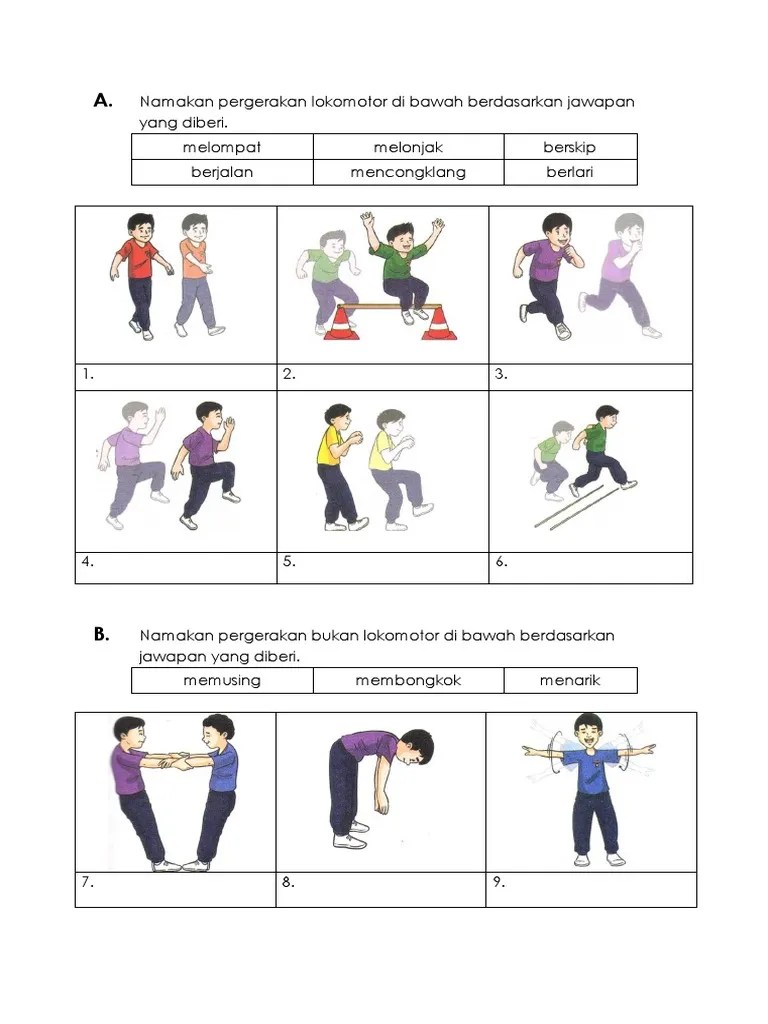 Gambar Pergerakan Lokomotor Dan Bukan Lokomotor
