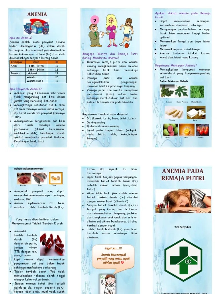Leaflet Anemia Pada Remaja Putri