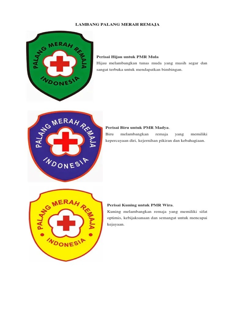 Parasmansa: SEJARAH PALANG MERAH REMAJA