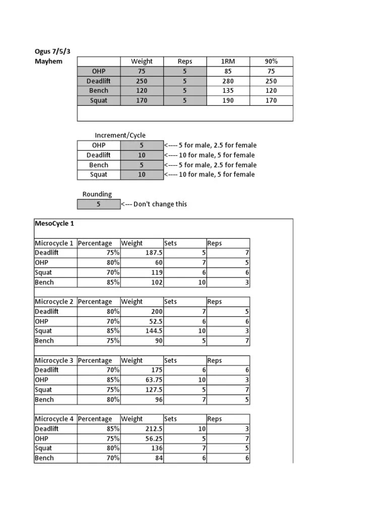 Matt Ogus 753Excel Workbook.pdf Individual Sports Sports