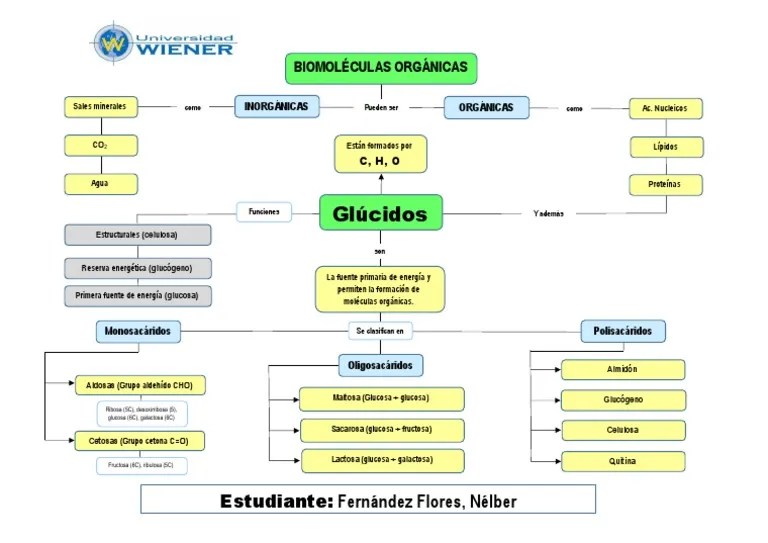 Mapa Conceptual 2 Carbohidratos