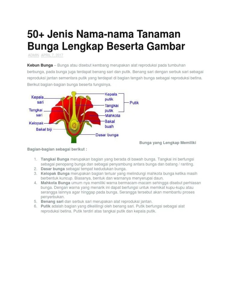 50+ Jenis Nama-Nama Tanaman Bunga Lengkap Beserta Gambar | PDF