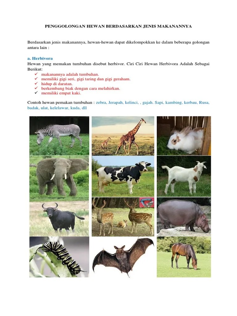 Penggolongan Hewan Berdasarkan Jenis Makanannya Ppt Berbagai Jenis Itu