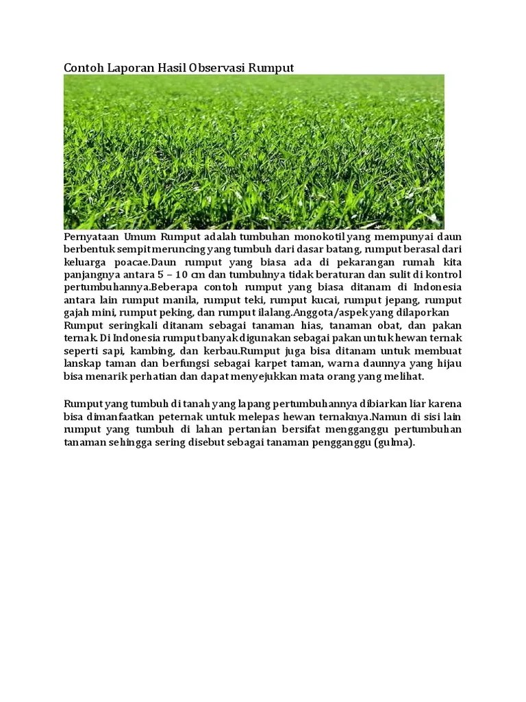 Teks Laporan Hasil Observasi Tentang Tumbuhan