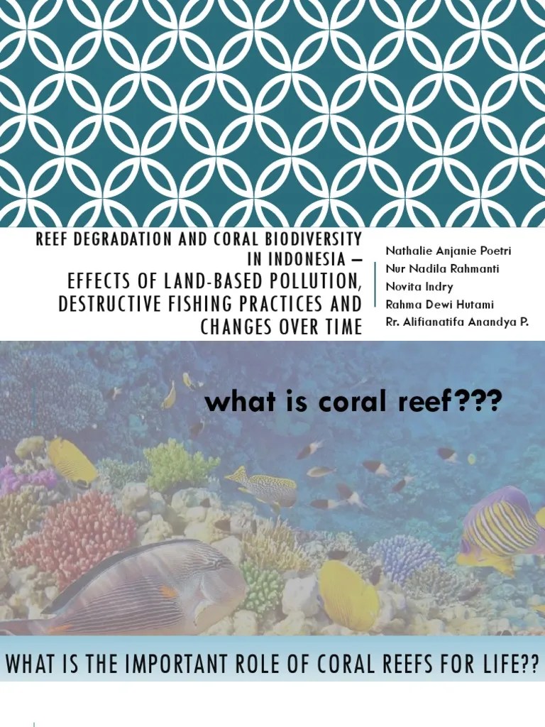 Reef Degradation PDF Coral Reef Coral