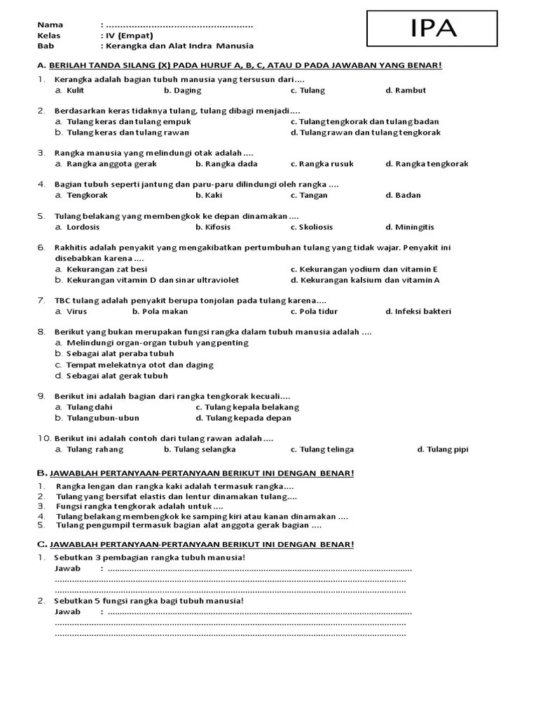 Contoh Soal Dan Jawaban Tentang Kulit Sebagai Alat Indra Peraba -  Kemendikbud