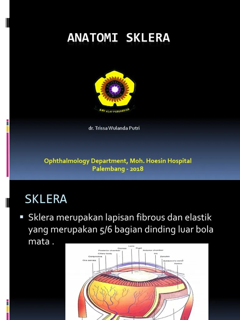 Anatomi Sklera | PDF