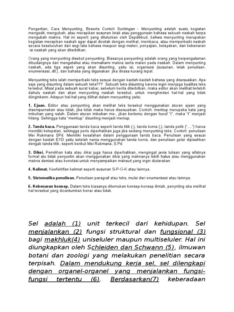 Materi Menyunting | PDF