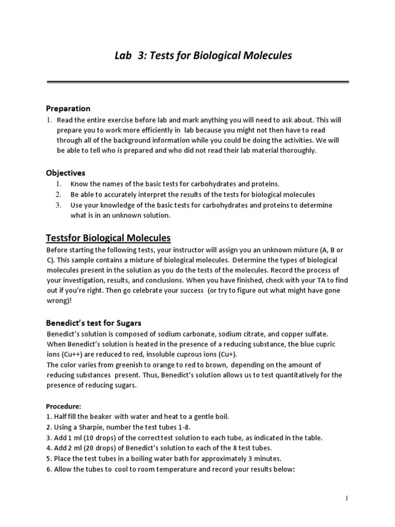 Lab 3 Biological Molecules | PDF | Chemical Compounds | Physical Sciences