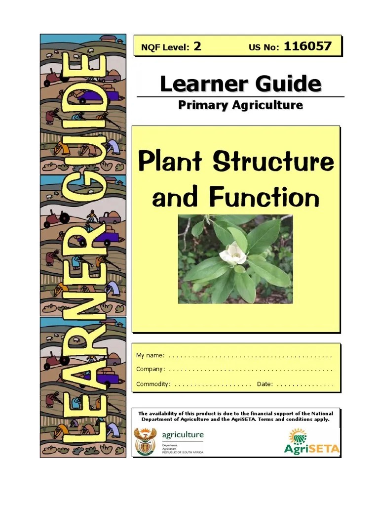 Understanding Plant Structure and Function A Learner's Guide PDF Seedling Seed