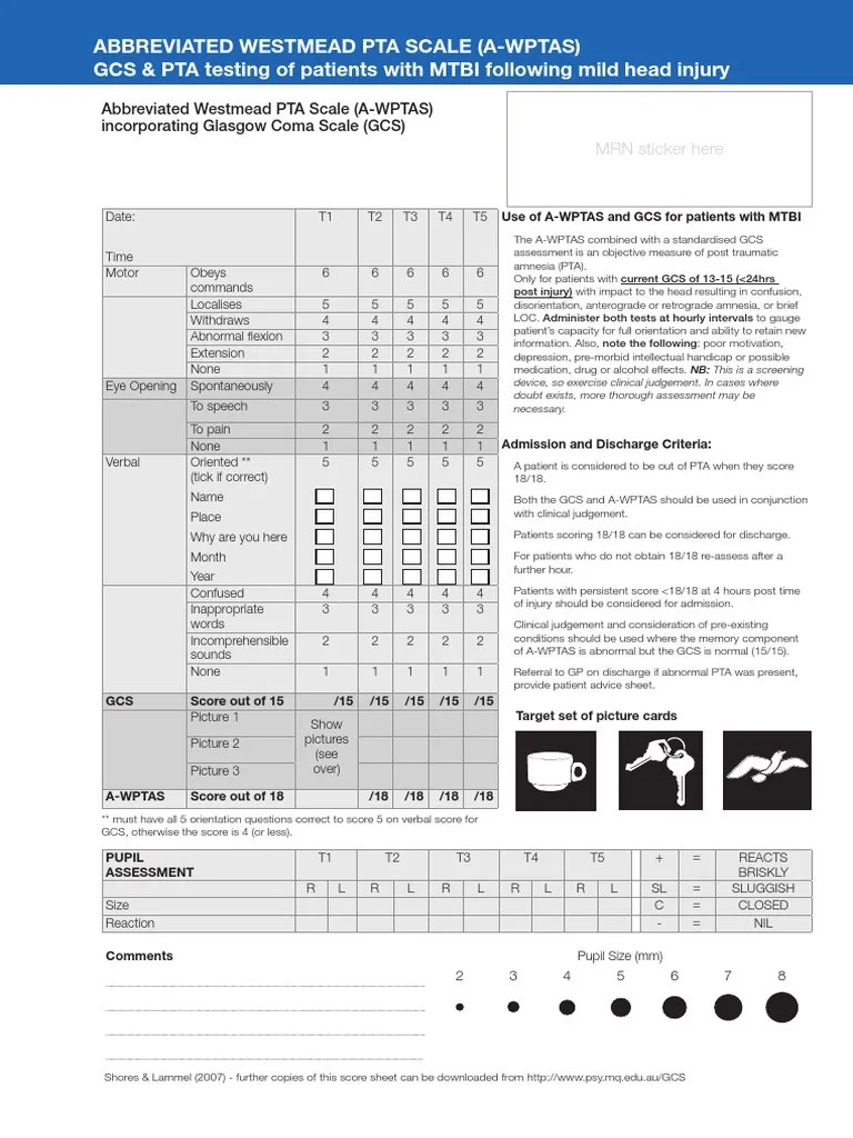 Assessing Mild Traumatic Brain Injury Using the Abbreviated Westmead