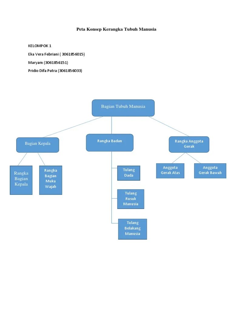 Peta Konsep Kerangka Tubuh Manusia2222 | PDF