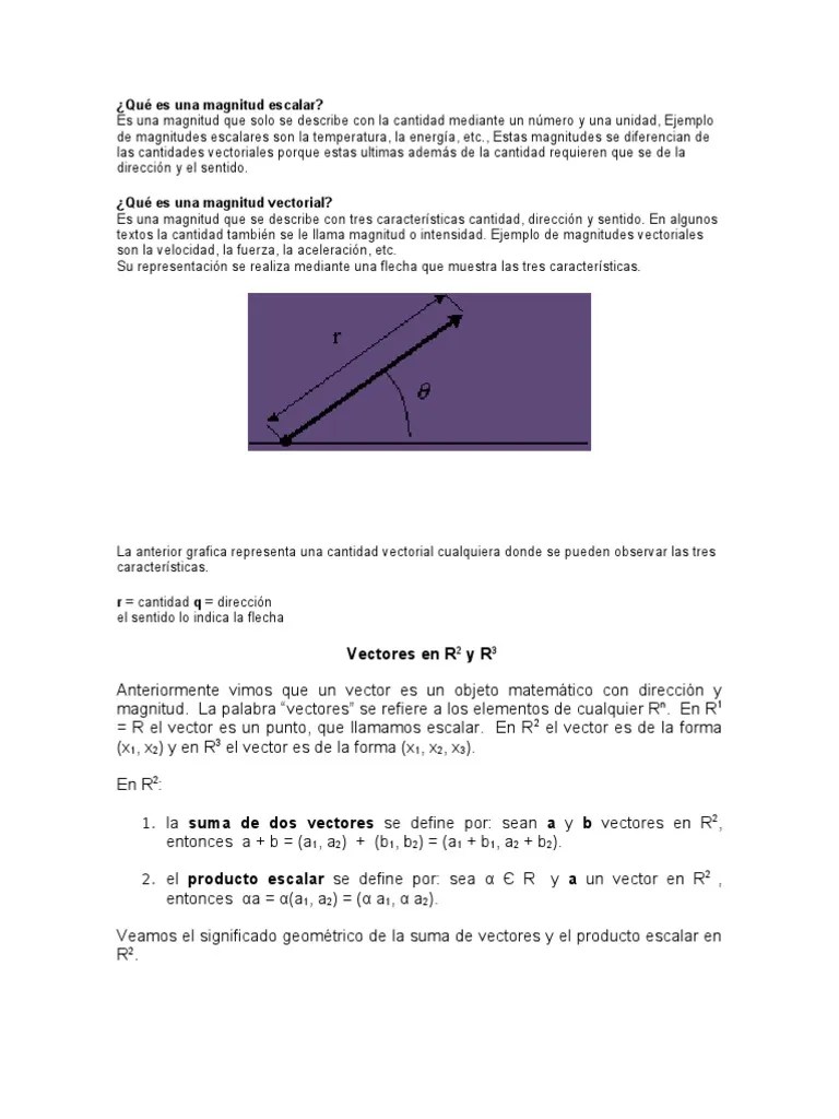 Qué es una magnitud escalar Vector Euclidiano Geometría