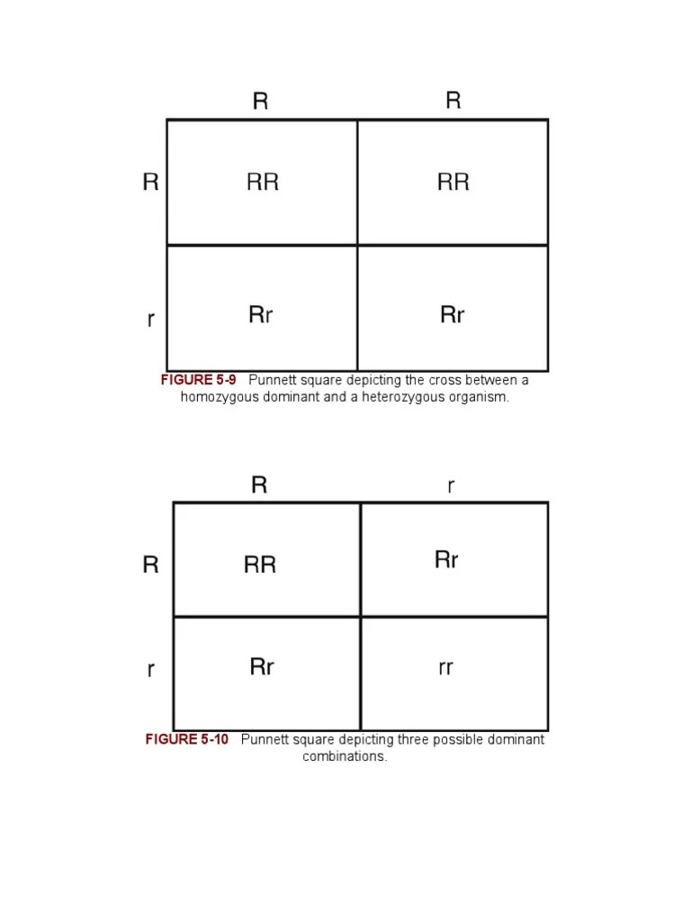 Dihybrid Square Heterozygous Problems