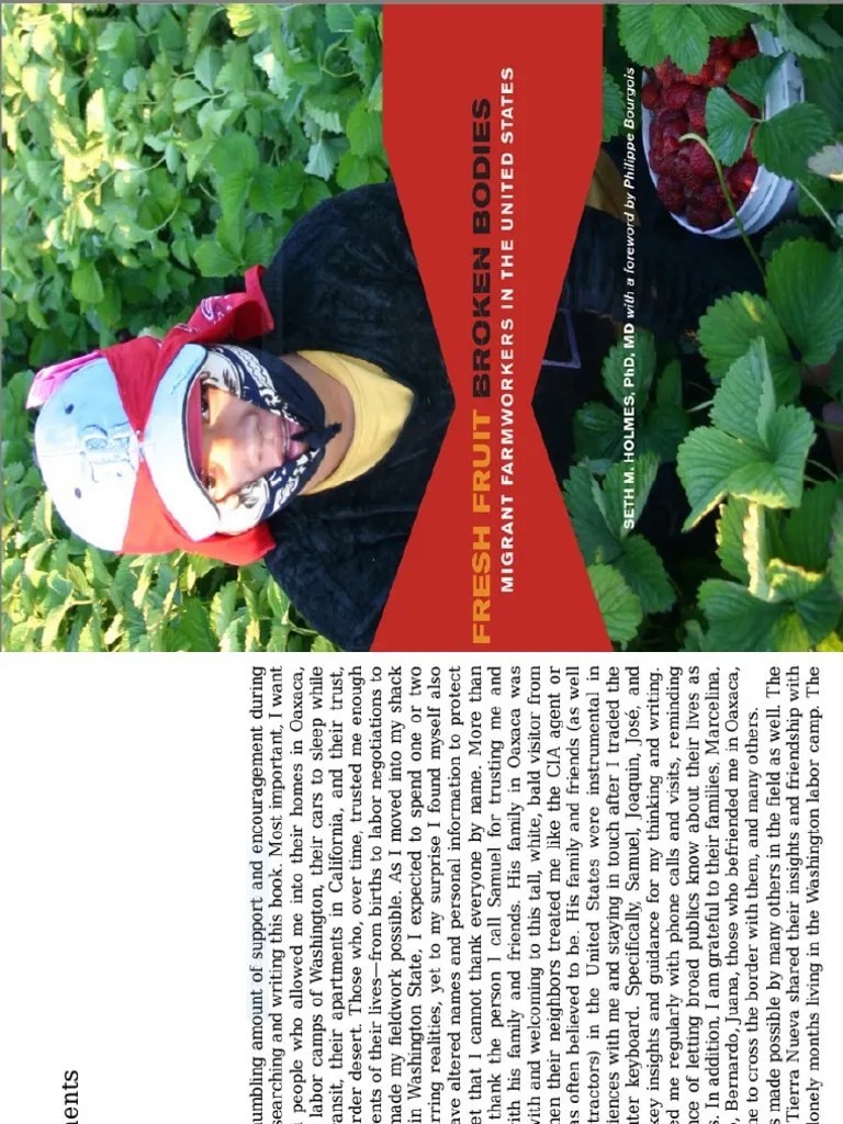 Fresh Fruit Broken Bodies PDF