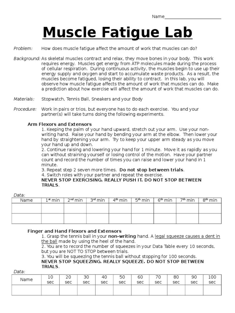 Muscle Fatigue Lab Anatomical Terms Of Motion Muscle