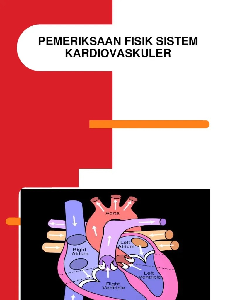Pemeriksaan fisik jantung
