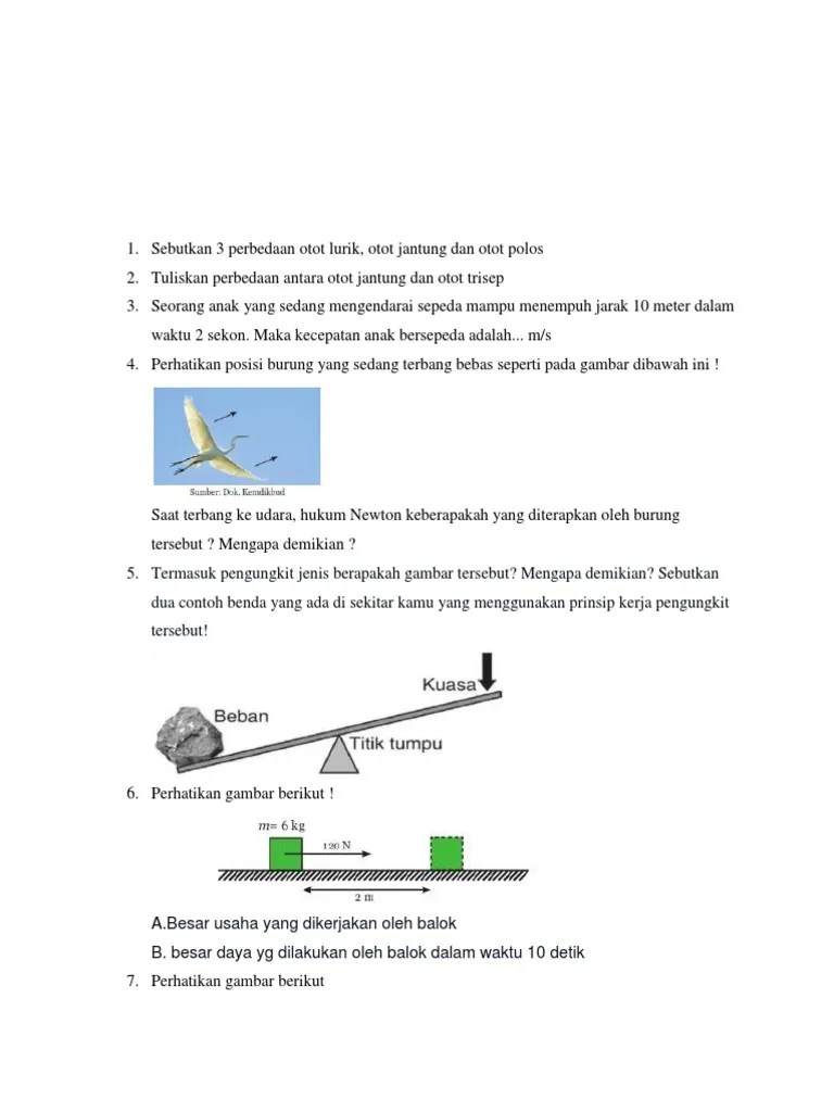 Termasuk Pengungkit Jenis Berapakah Gambar Tersebut Mengapa Demikian -  Berbagai Jenis Itu