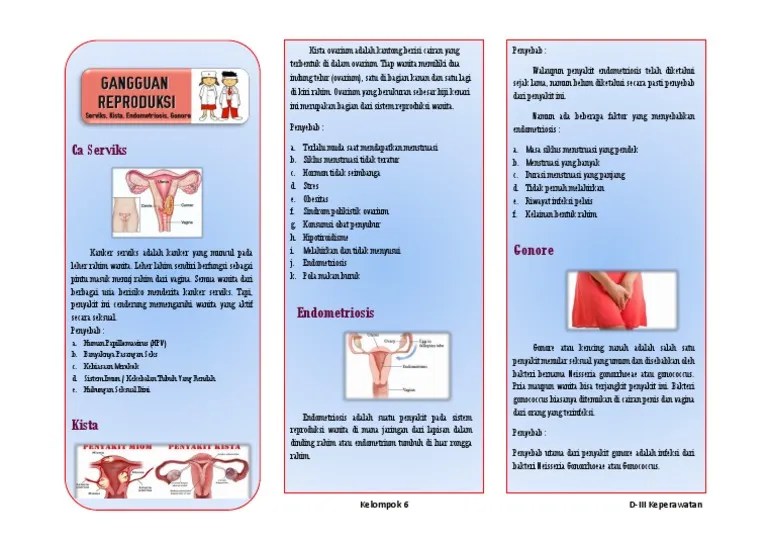 Leaflet Gangguan Reproduksi | PDF