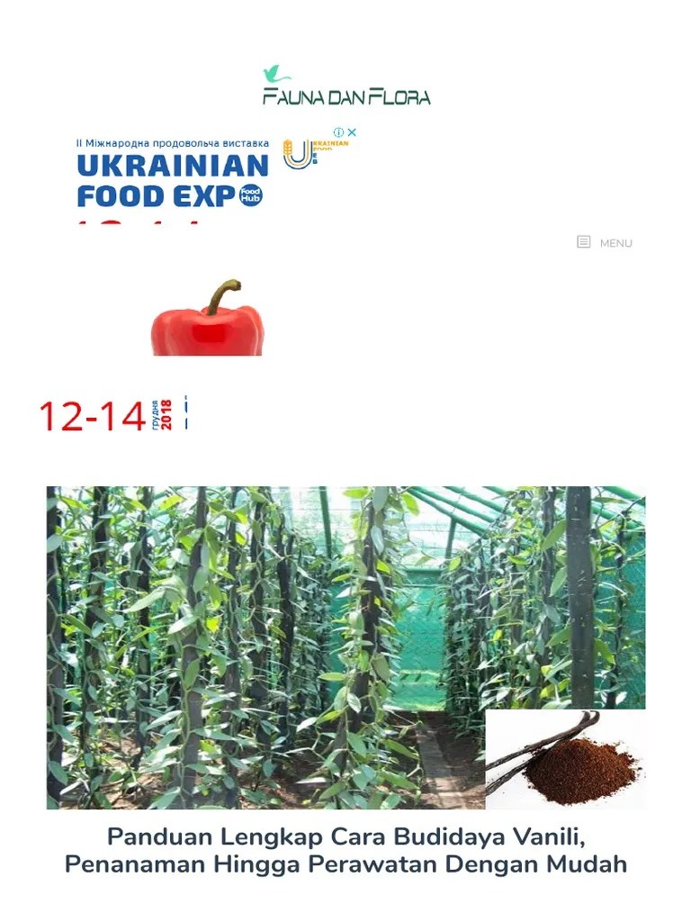 Panduan Lengkap Cara Budidaya Vanili, Penanaman Hingga Perawatan Dengan  Mudah - Flora Dan Fauna | PDF