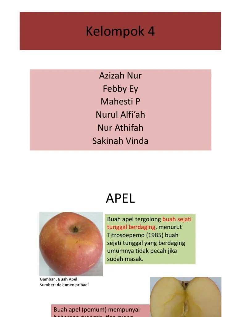 Pengertian Buah Semu Dan Buah Sejati | Seputar Buah