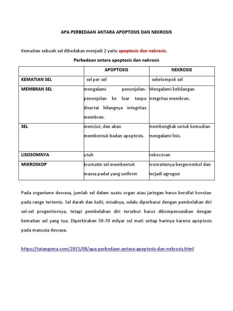 Apa Perbedaan Antara Apoptosis Dan Nekrosis | PDF