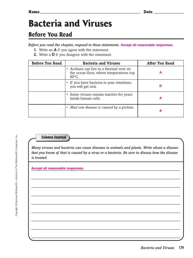 Prokaryotes Bacteria Worksheet Answers