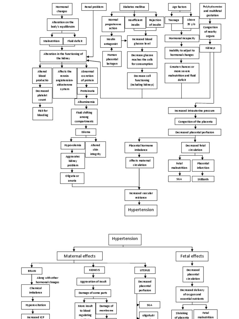 Pregnancy Induced Hypertension Pathophysiology | PDF | Fetus | Kidney