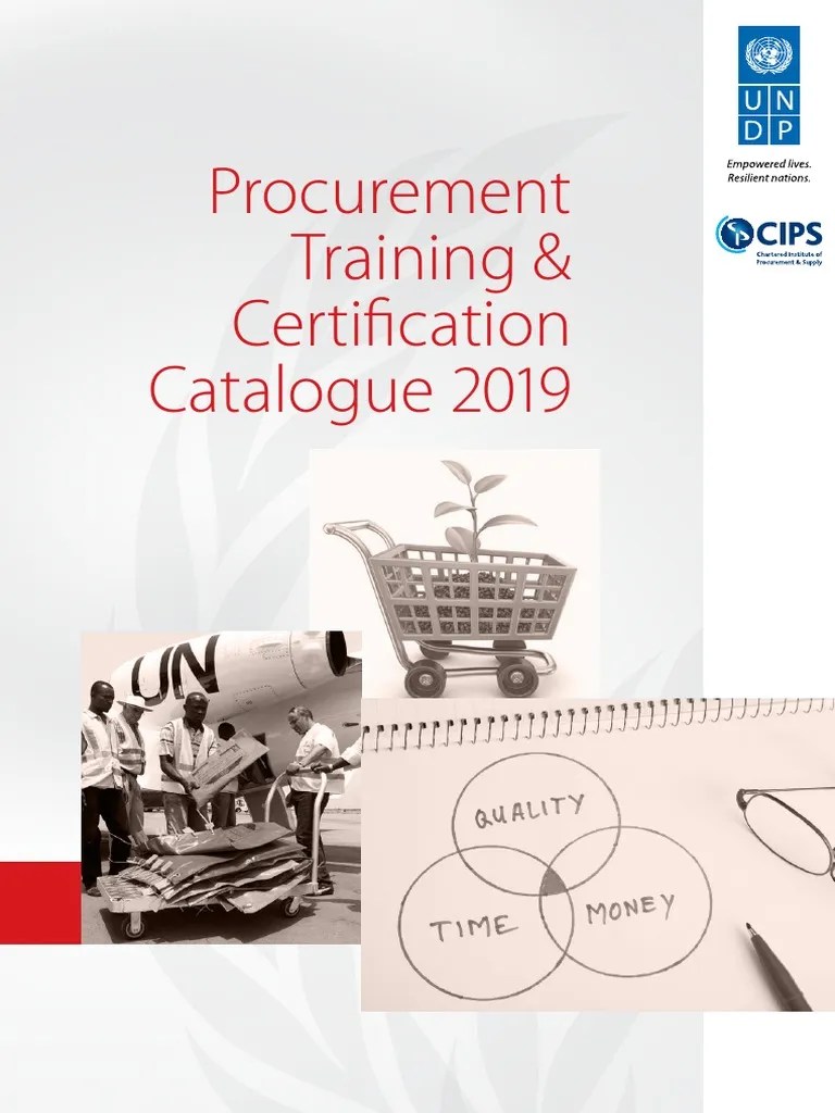 UNDP CIPS Training Catalogue 2019 PDF Procurement Risk Management