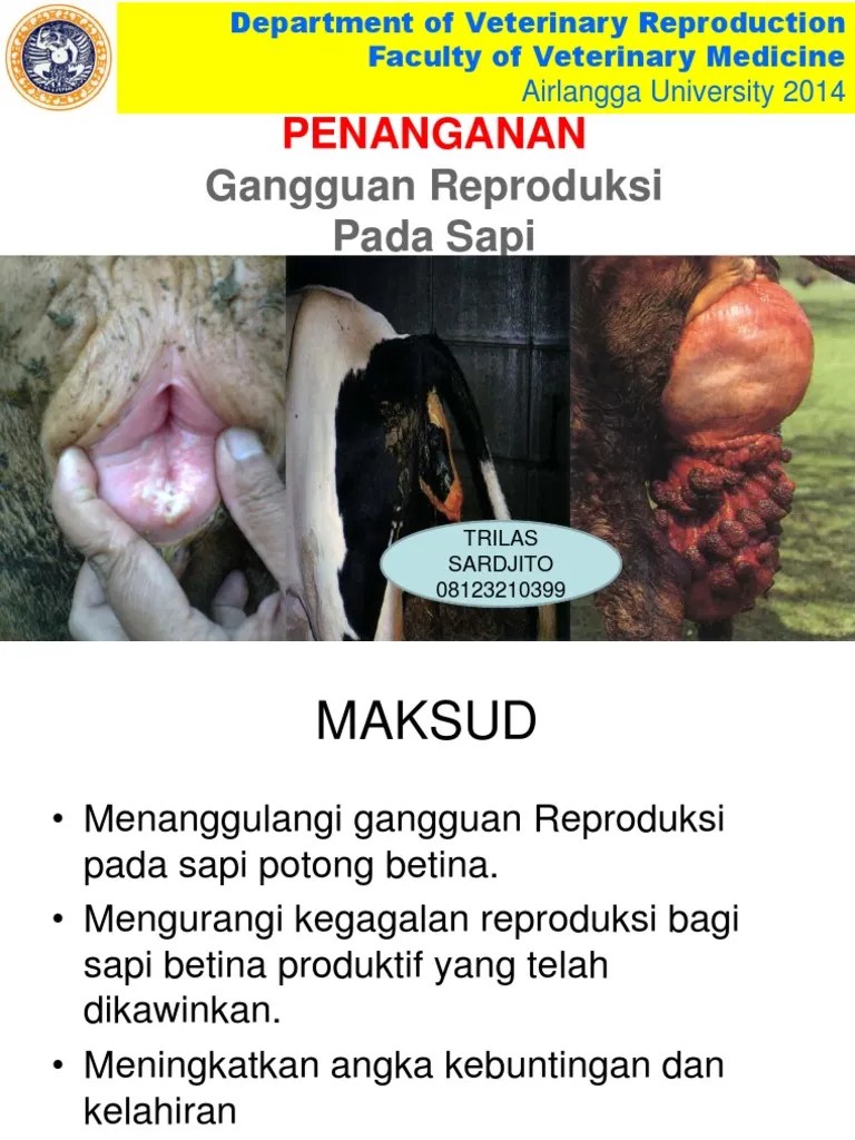 Review GGN Rep 2014 | PDF