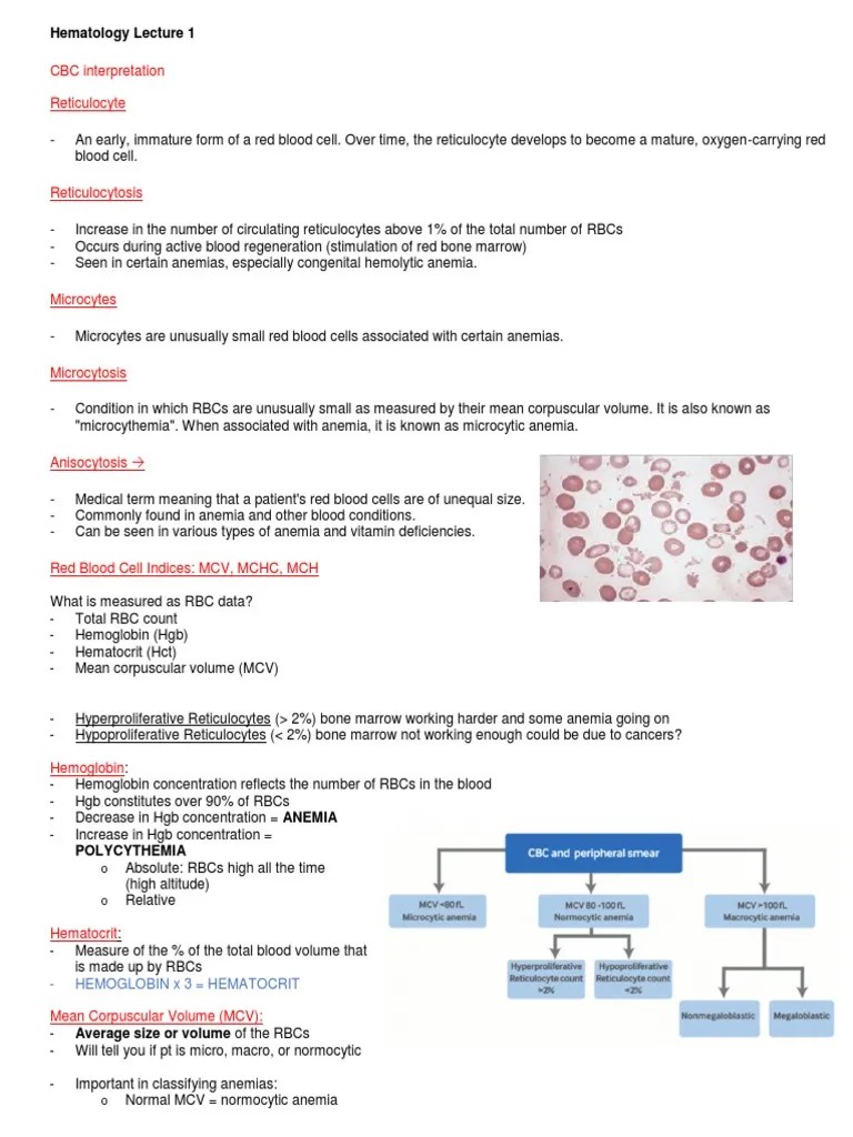 Hem/Onc Lecture 1 PDF Anemia White Blood Cell
