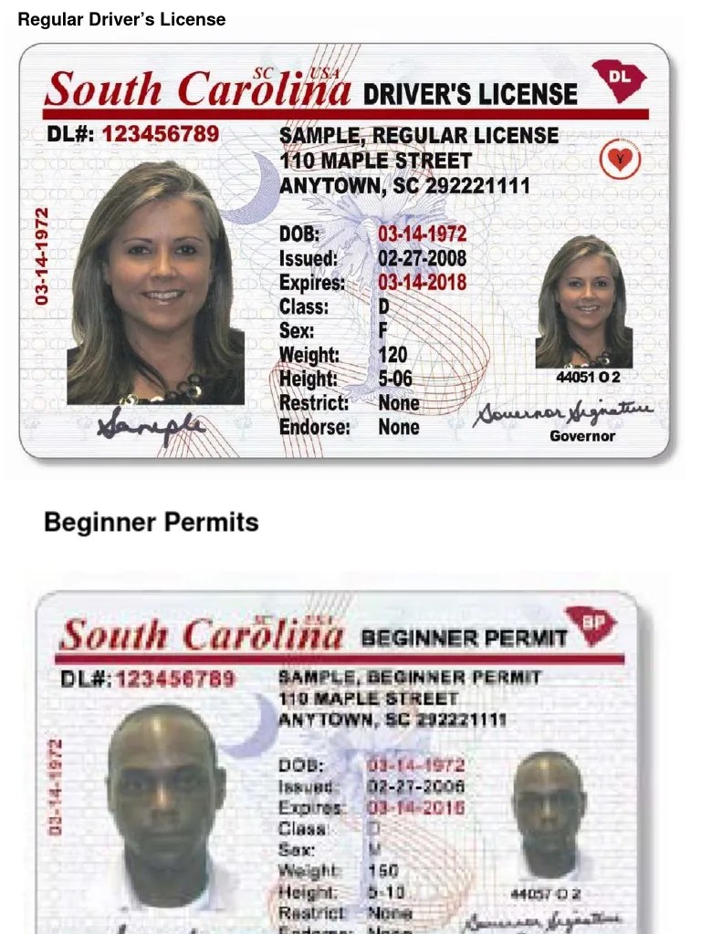New South Carolina Driver's Licenses PDF