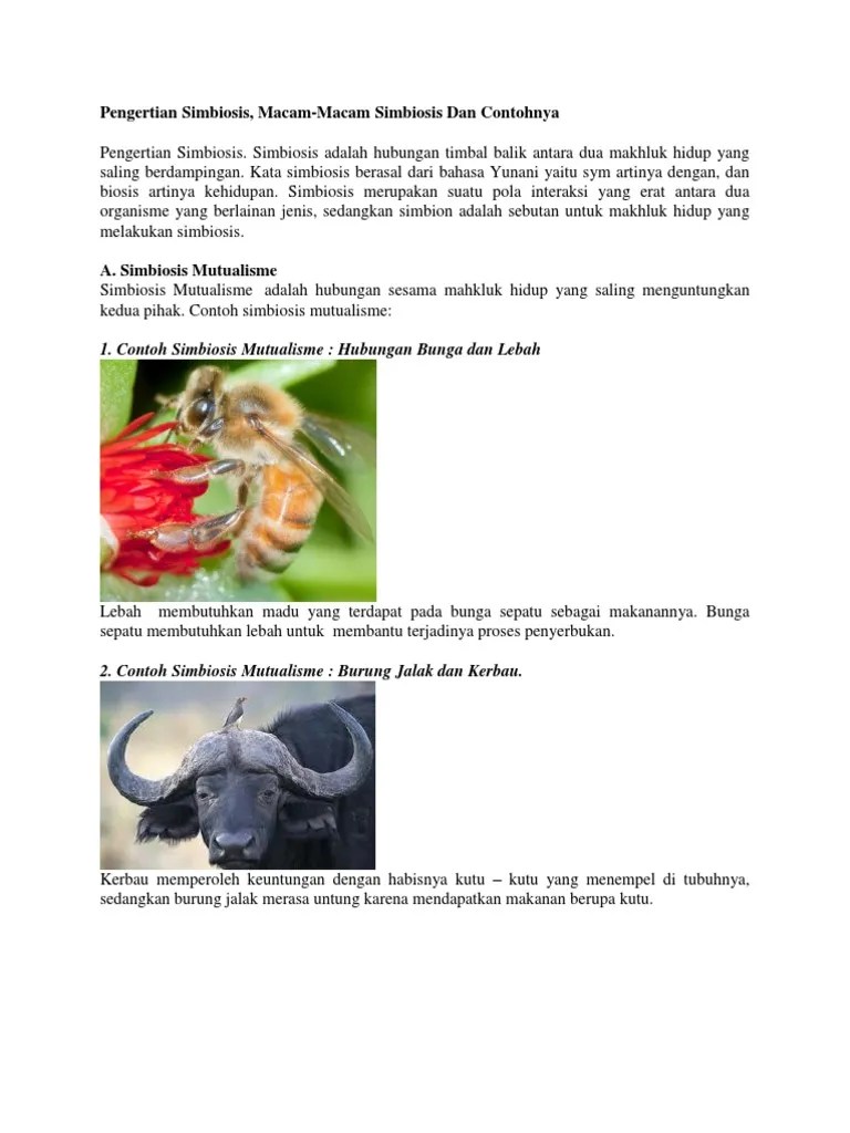 Pengertian Simbiosis | PDF