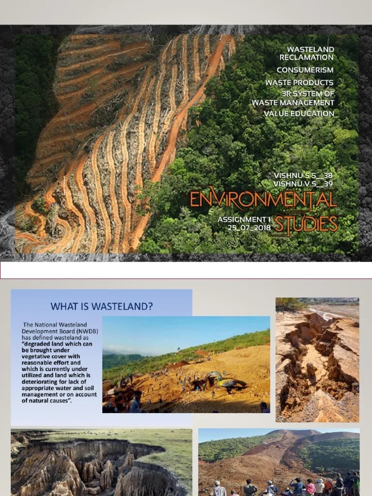 Waste Land, Reclamation PDF Consumerism Drainage