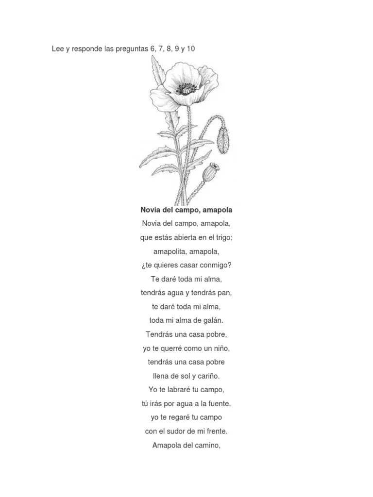 Poema Novia Del Campo Amapola Rima