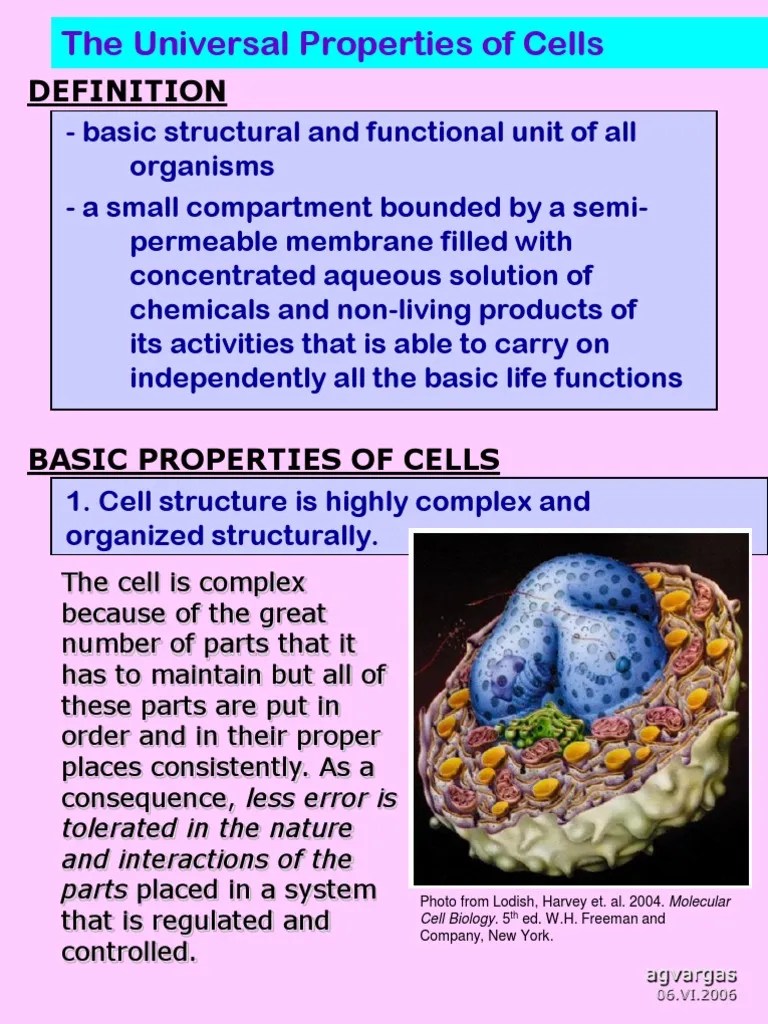 Universal Properties of Cells PDF Cell (Biology) Metabolism